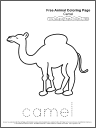 Free Coloring Page: Camel 