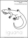 Free Coloring Page: Iguana 